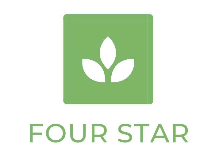 fourstar.cisnecargoqc.com